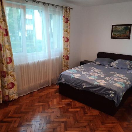 Cozy Three Rooms Apartment Κλουζ-Ναπόκα Εξωτερικό φωτογραφία